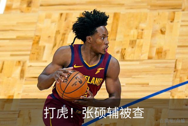 打虎！张硕辅被查